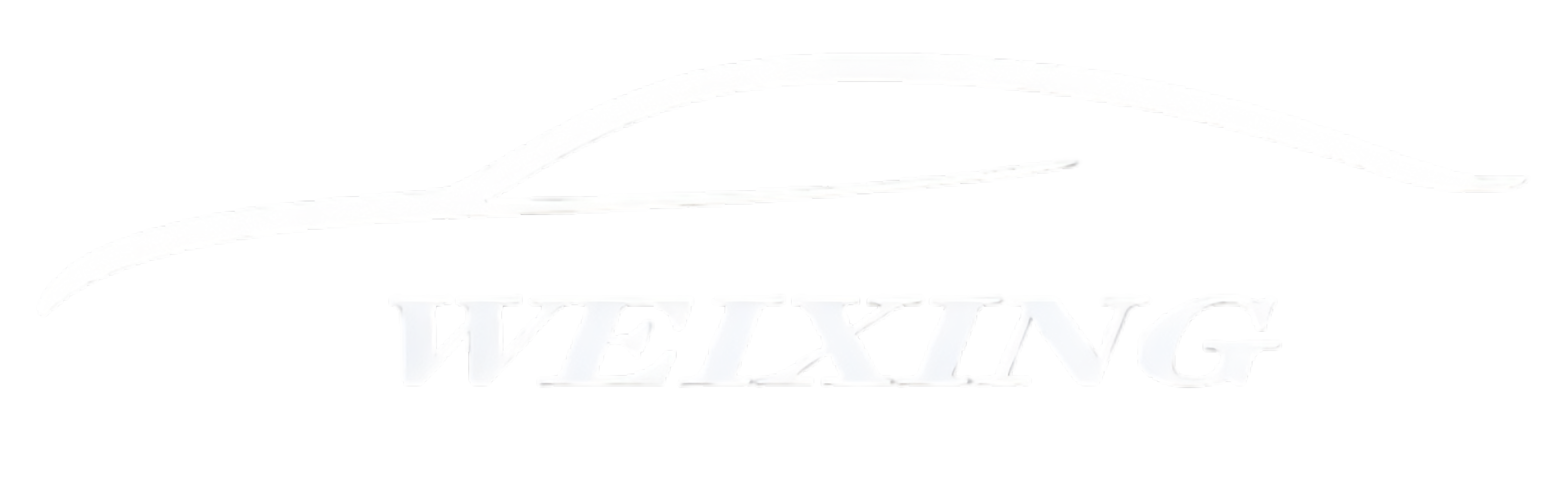 Zhejiang Weixing Import & Export Co., Ltd. Logo